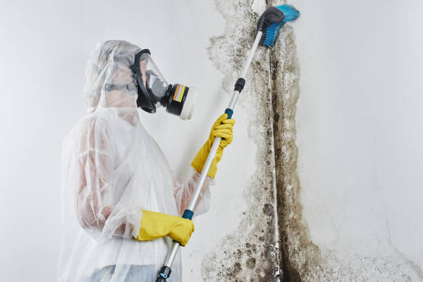 Water Damage Restoration in Suffolk, VA