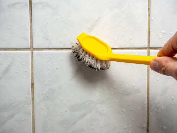 Best Mold Removal Company Near Me  in Suffolk, VA