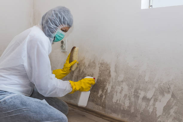 Best Mold Cleaning Services  in Suffolk, VA