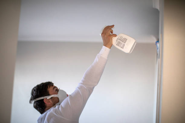 Best Home Mold Removal  in Suffolk, VA