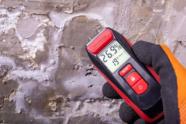 Best Commercial Mold Removal  in Suffolk, VA