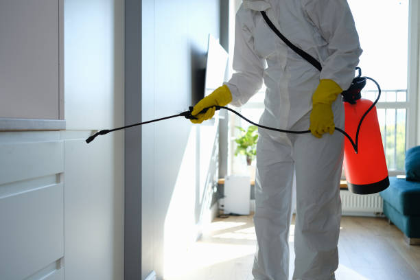 Crawl Space Mold Removal in Suffolk, VA