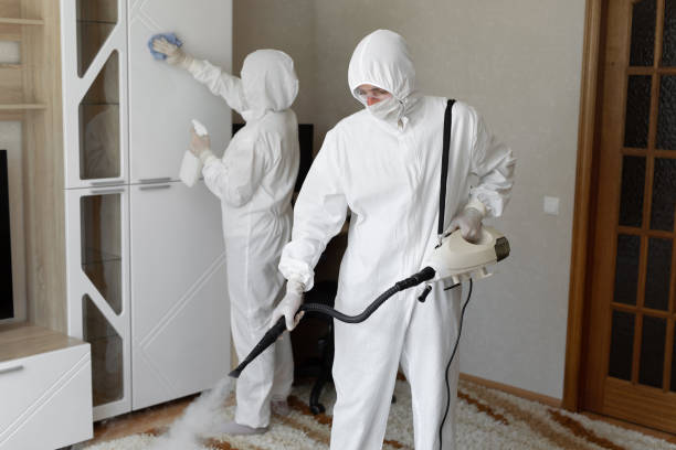 Best Mold Damage Repair  in Suffolk, VA