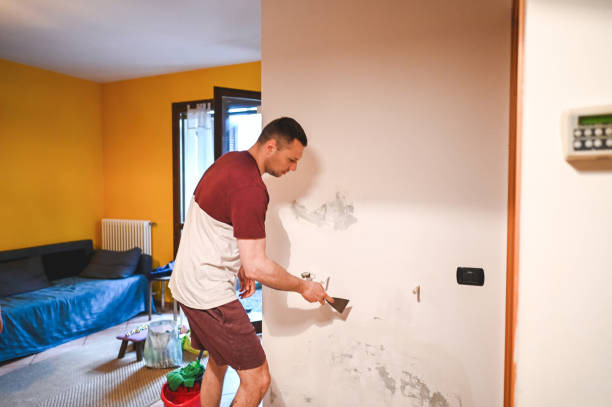 Mold Removal and Inspection in Suffolk, VA