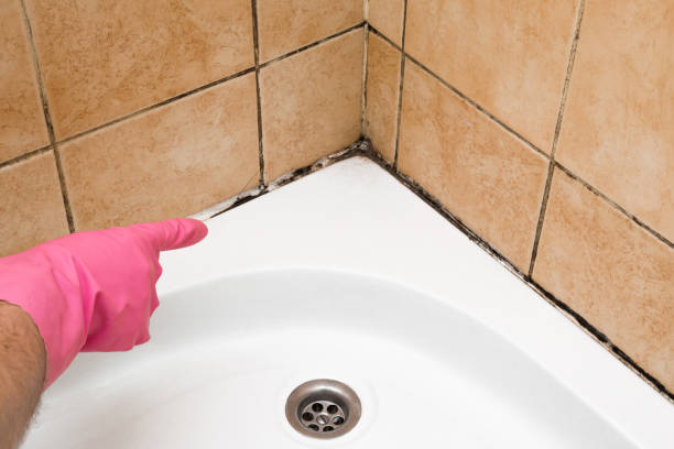Best Mold Testing  in Suffolk, VA